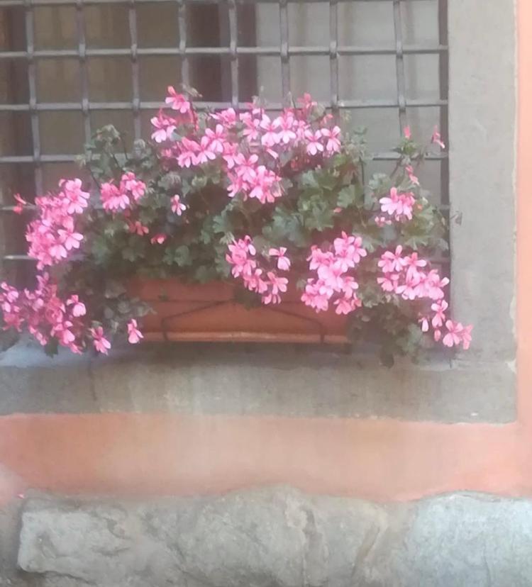 Apartmán Casa Mirella Lovere Exteriér fotografie